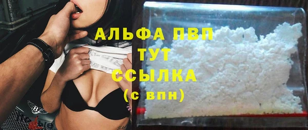 СК Россошь