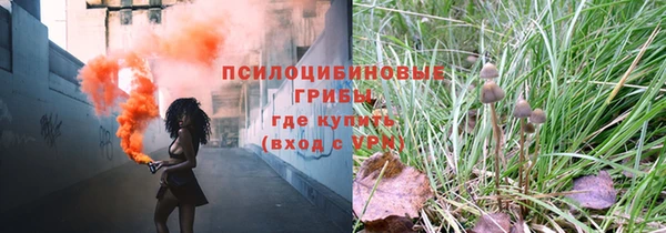 прущие грибы Рославль