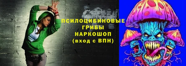 apvp Алексин